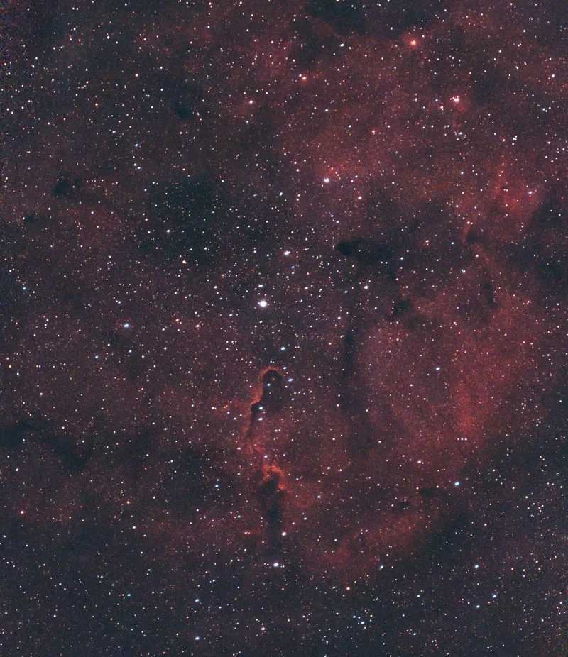 Elephant’s Trunk Nebula