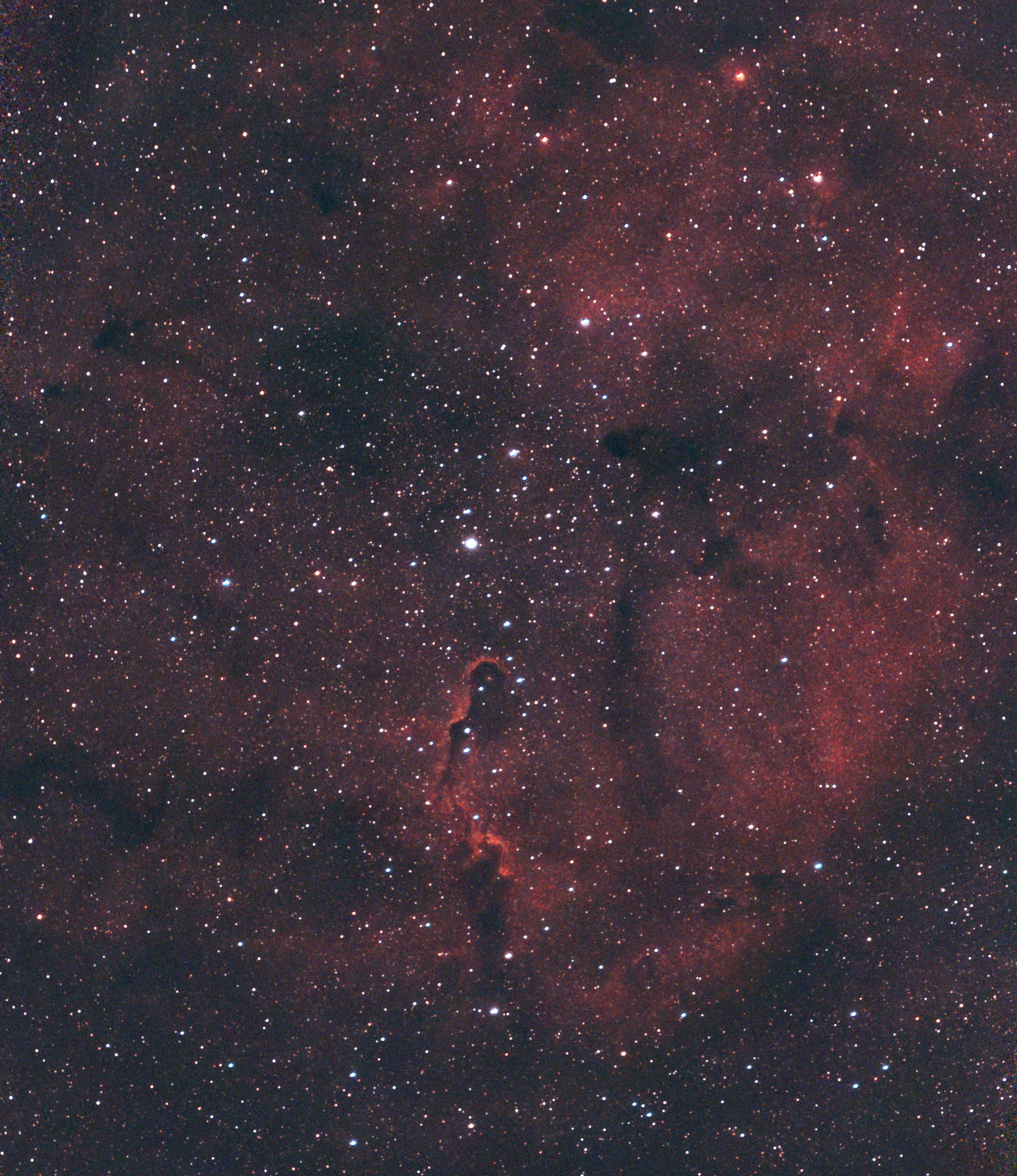 Elephant’s Trunk Nebula, photographed through a small telescope