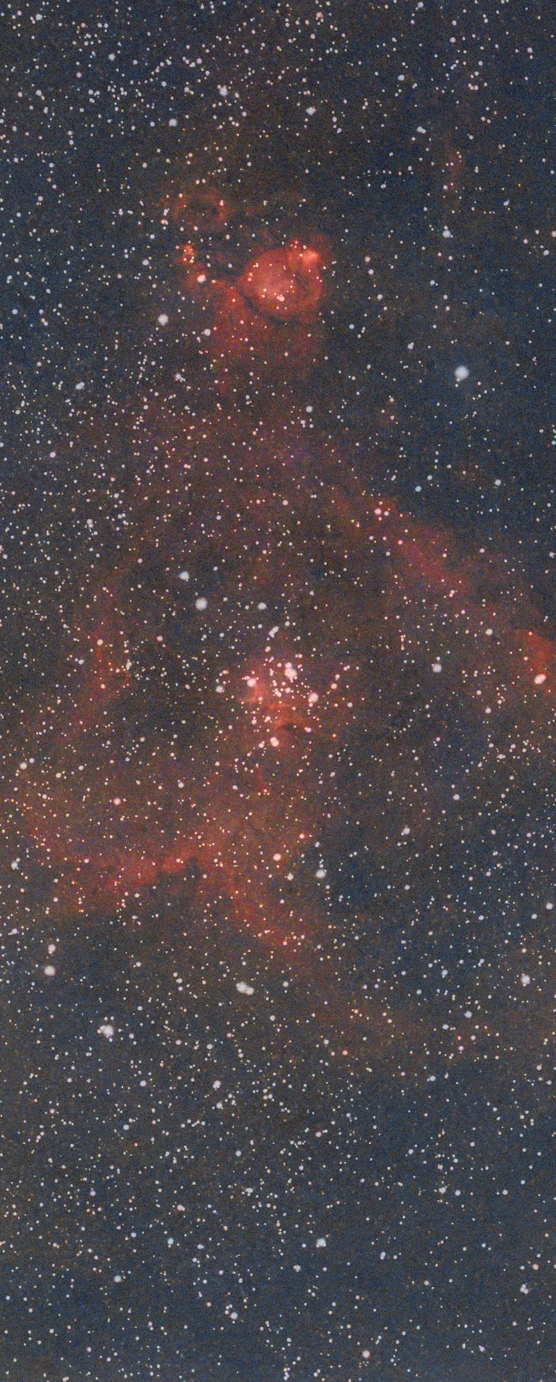 Heart Nebula
