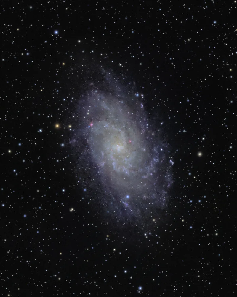 Triangulum Galaxy