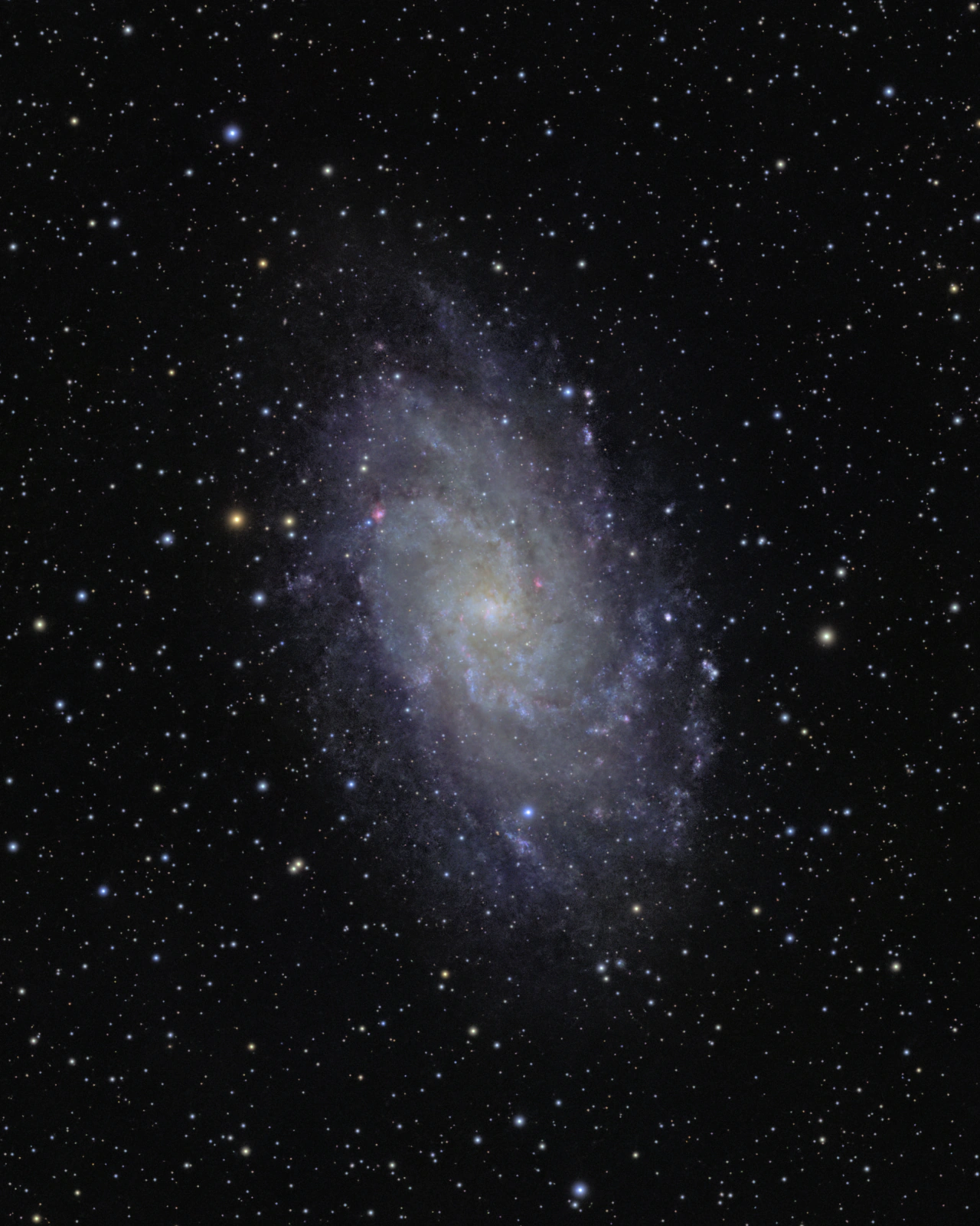 Triangulum Galaxy, photographed through a small telescope