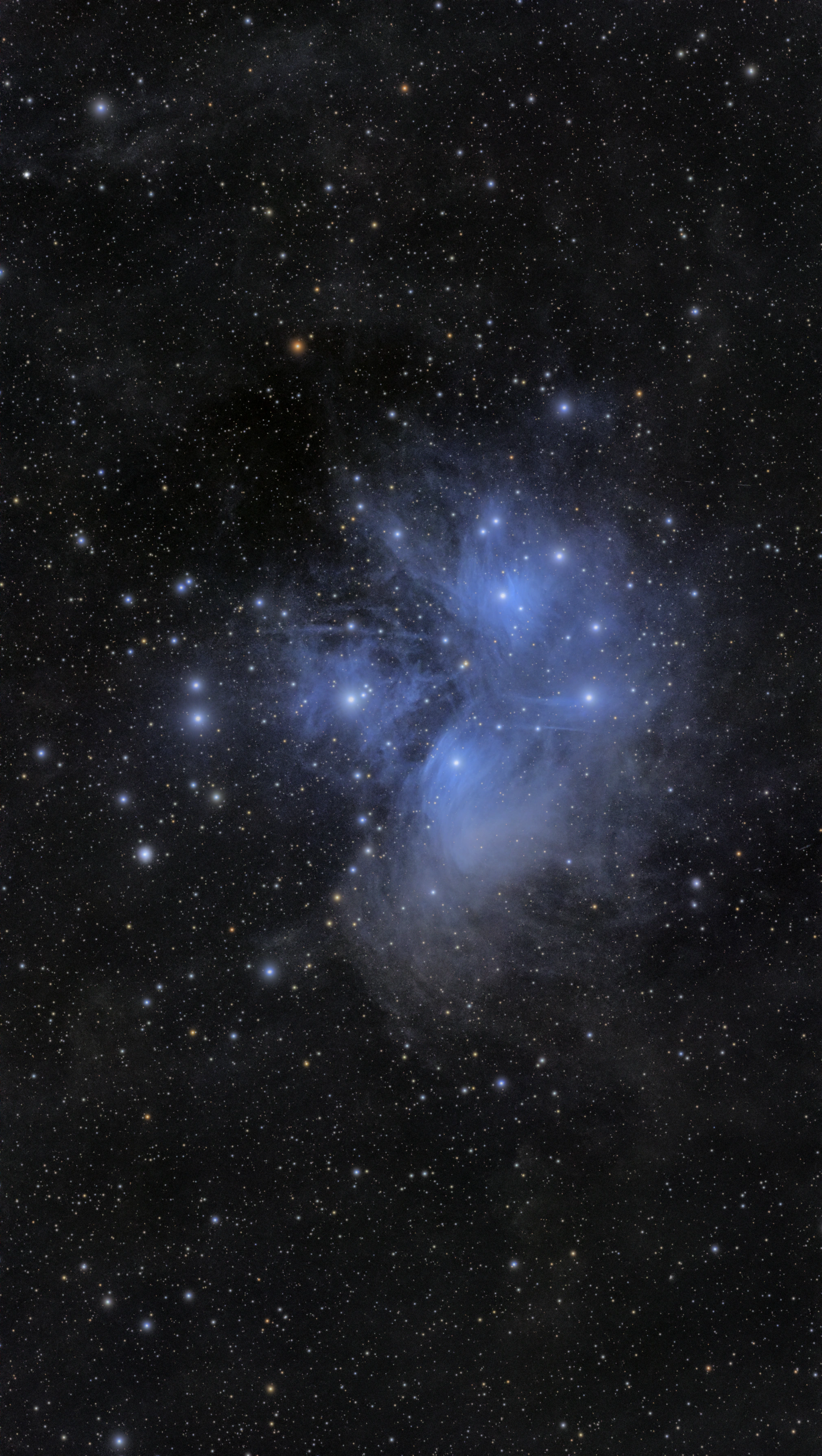 The Pleiades: Full field