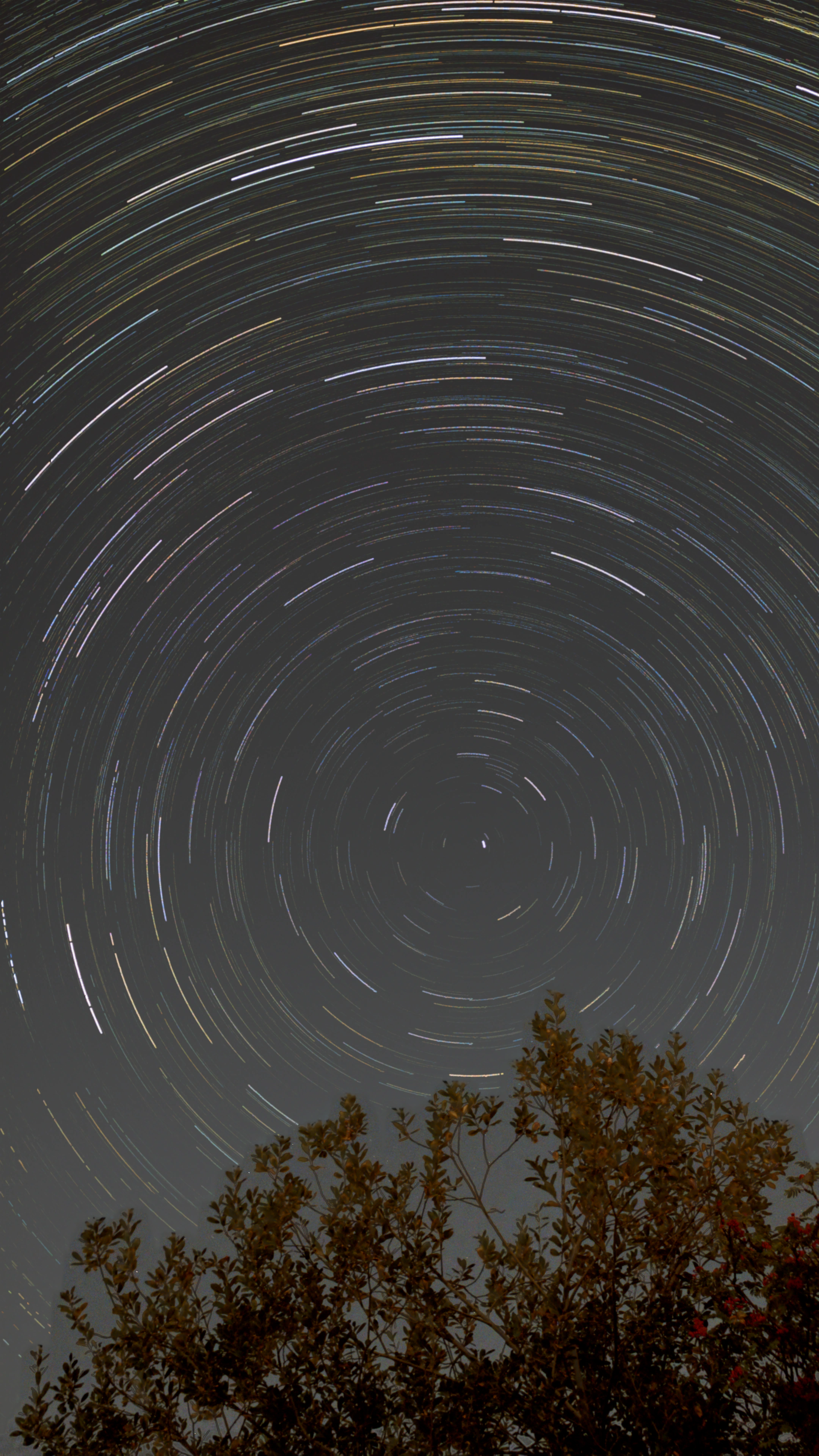 Around Polaris, photographed through a small telescope